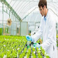 Globaler Markt für landwirtschaftliche biologische Tests